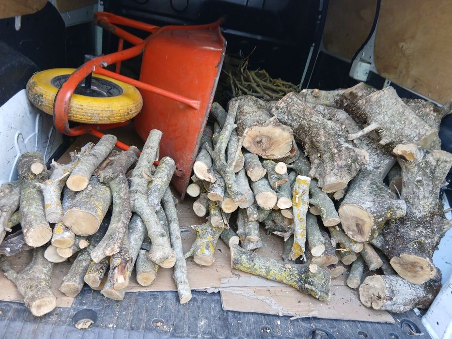 Lenha  oliveira lareiras