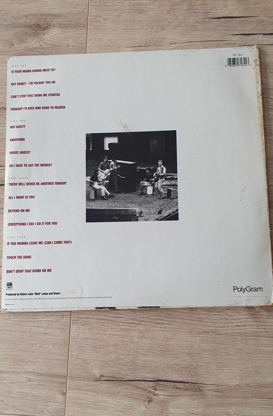 Bryan Adams- Waking up the Neighbours (Vinil LP)
