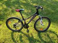 Rower Kross Hexagon