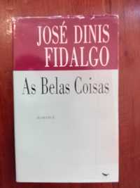 José Dinis Fidalgo - As belas coisas