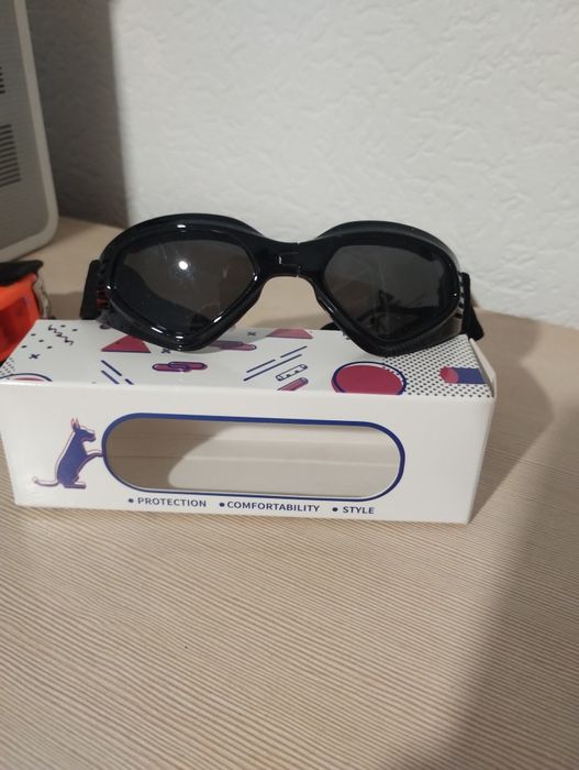 Okulary dla  psa