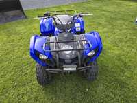 Yamaha grizzly 125