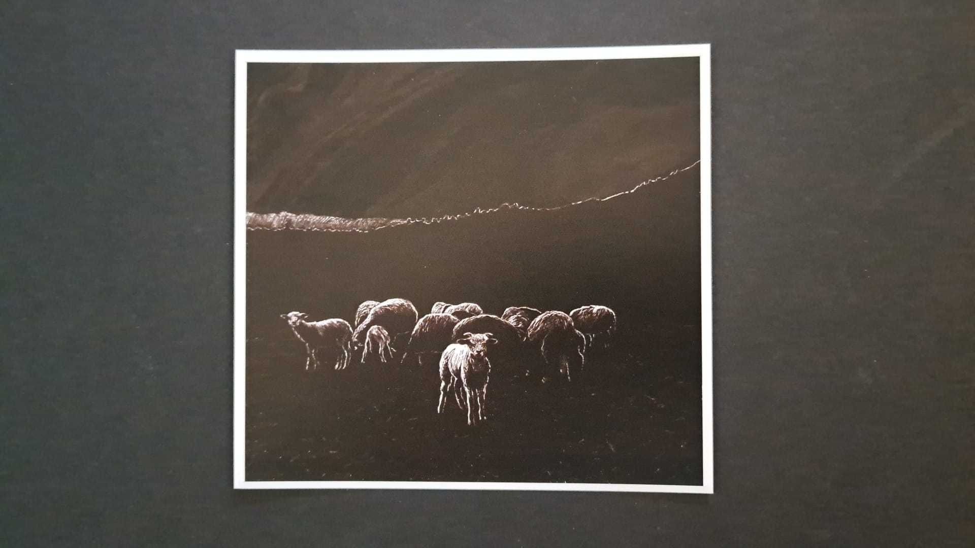 Postal desenho de paisagem ovelhas Soajo tradições Norte de Portugal