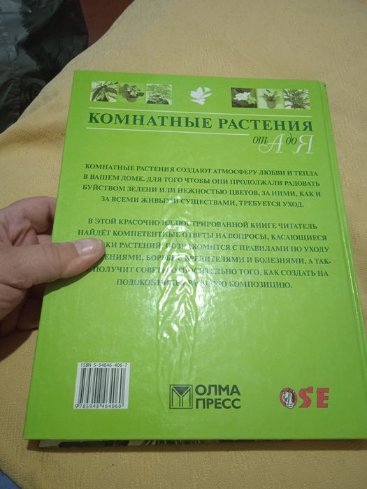 Комнатные растения от А до Я