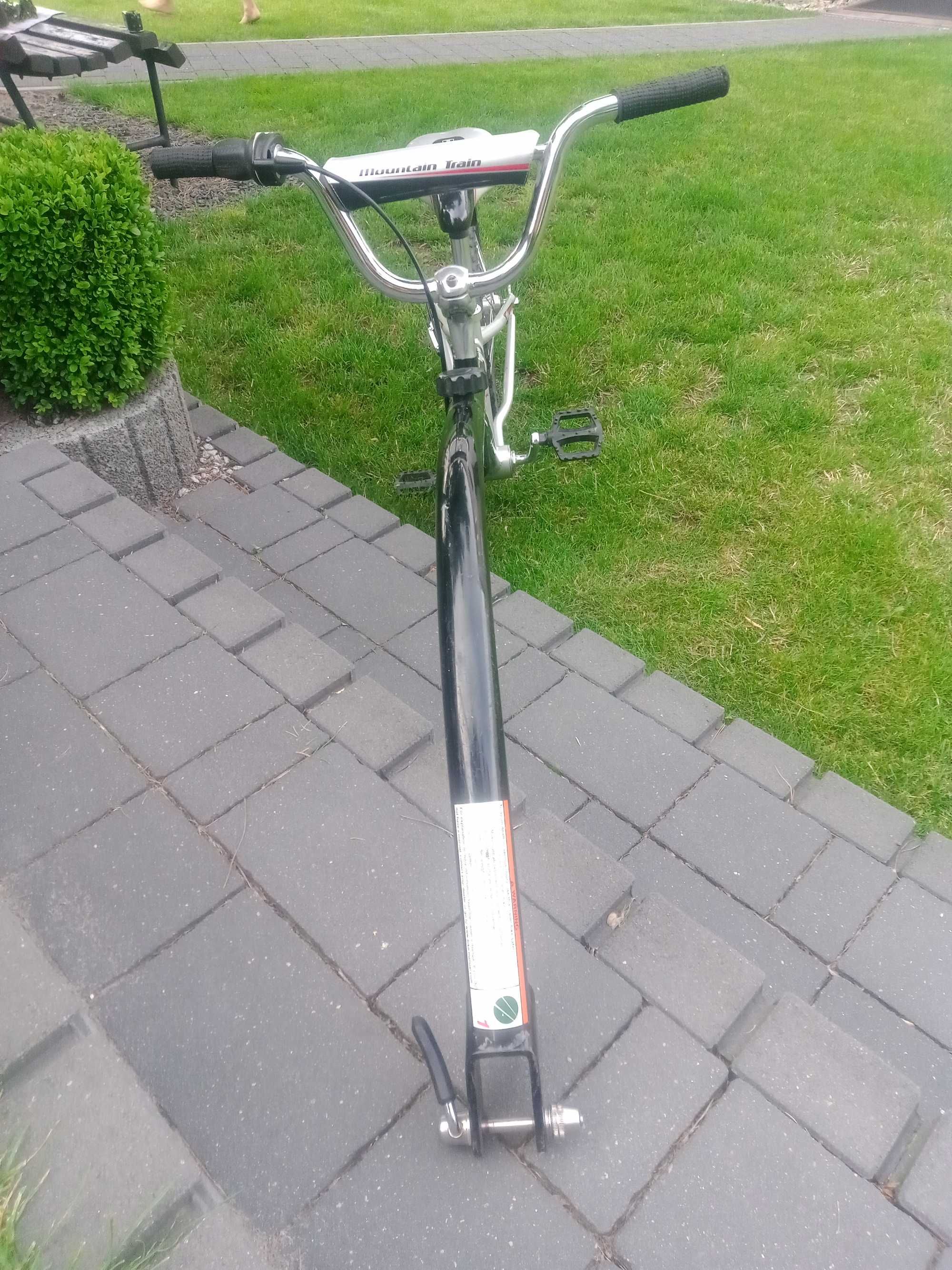 Doczepka rowerowa Trek
