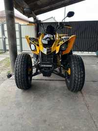 BRP Can-am ds250