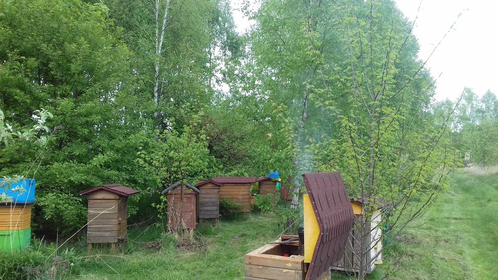 Miód z własnej pasieki,Dostawa gratis