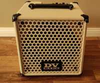 DV Mark Little Jazz Amp