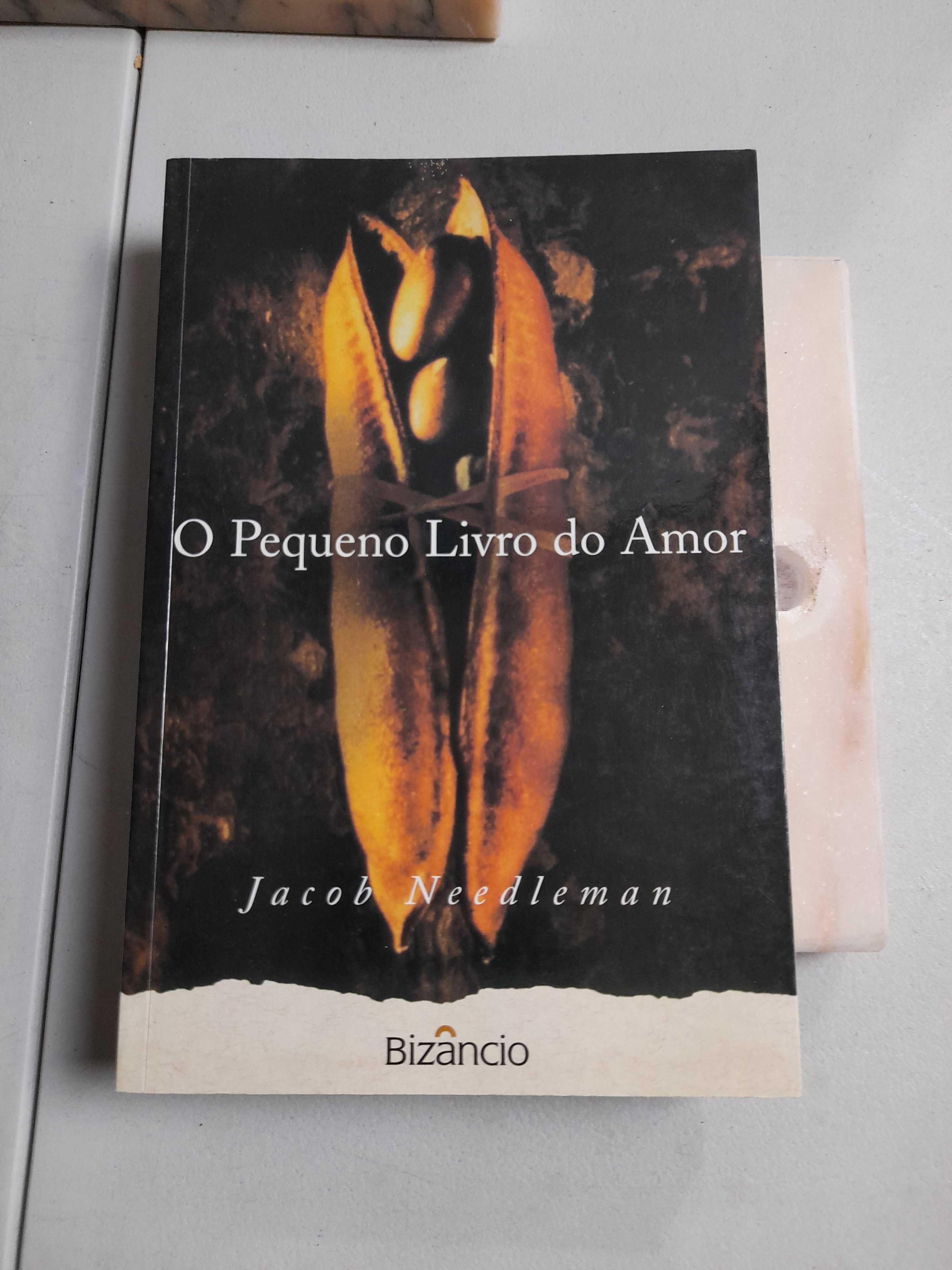 LIVRO Ref-PVI - jacob needleman - o pequeno livro do amor