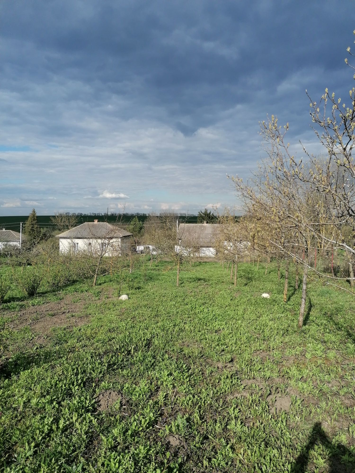 Житловий будинок в селі Просівці Підволочиського району, біля ставу.