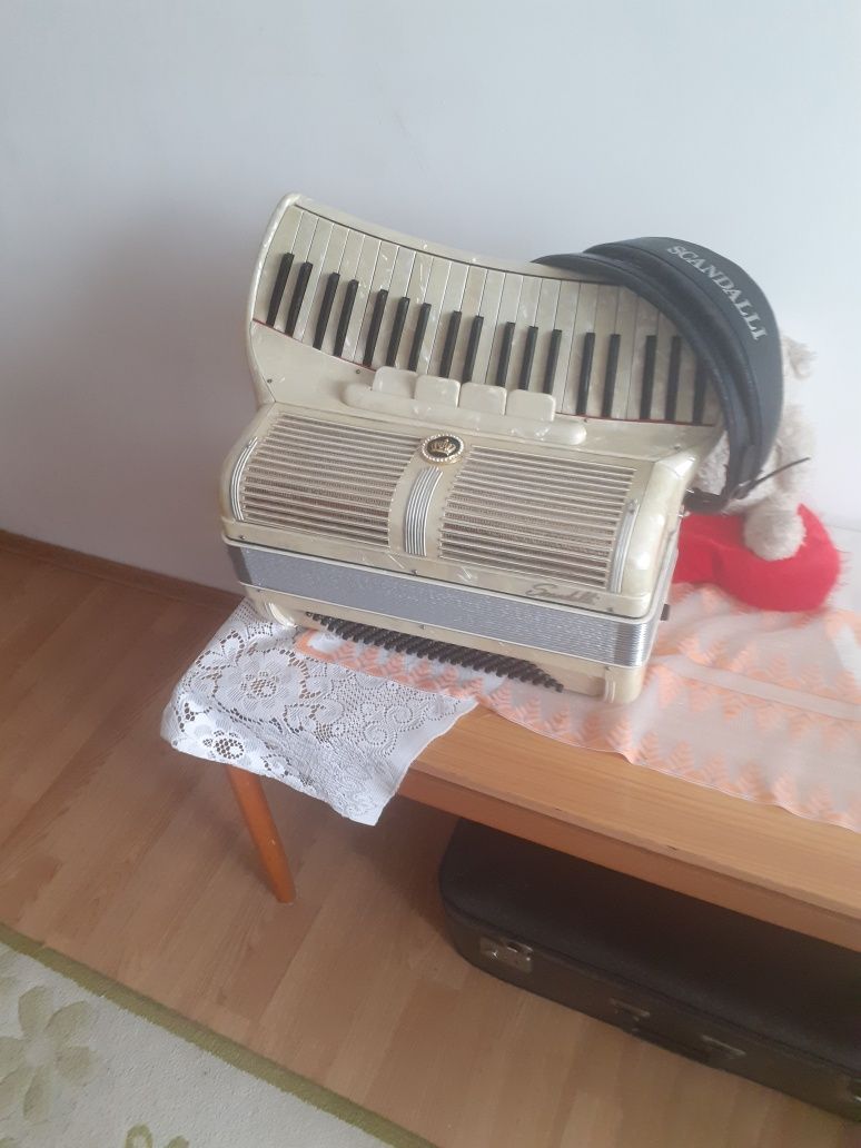 Akordeon włoski Scandali