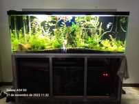 AQUARIO DE 1,70  para venda