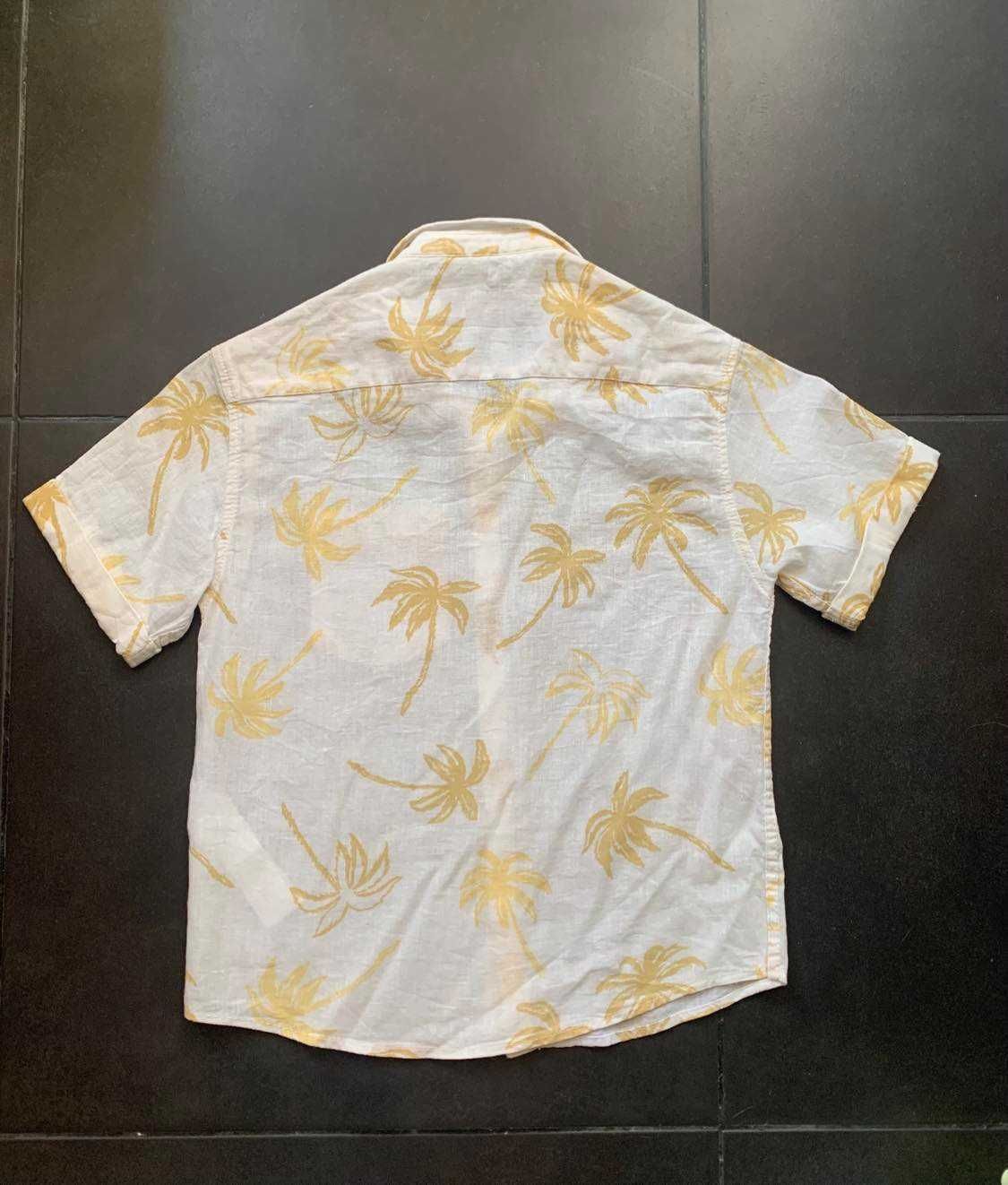 Camisa de menino da ZARA