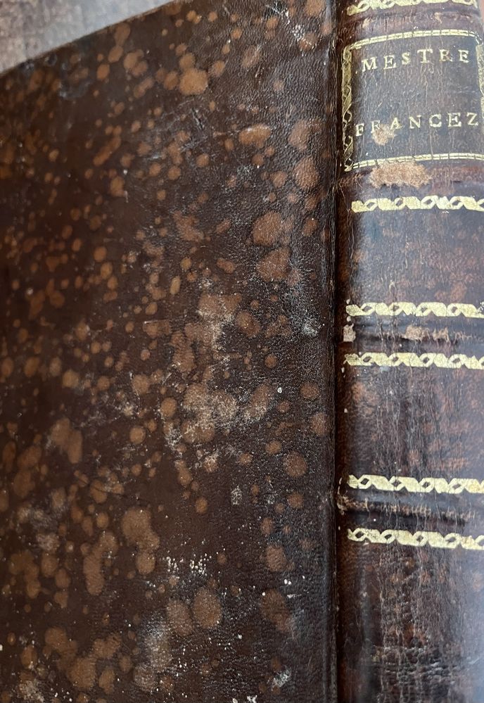 Livro Sec XVIII O Mestre Frances RARO