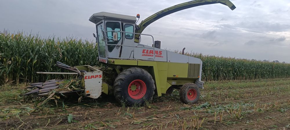 Sieczkarnia Claas jaguar 680 ( 690 685 sl 695 nie sl)