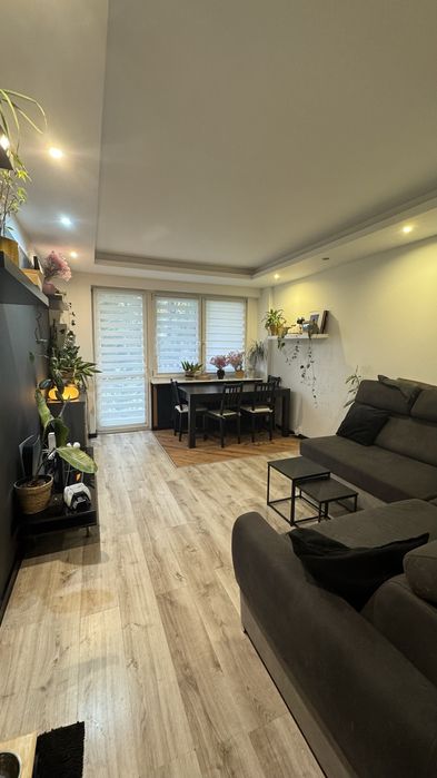 Mieszkanie Parter 3 Pokoje