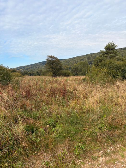 Do sprzedania działka budowlana 8 ar