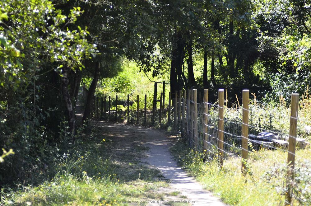 Espaço comercial natureza