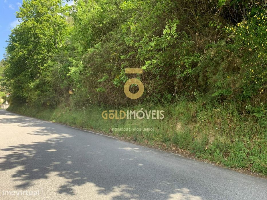 Terreno Rústico  Venda em Souselo,Cinfães