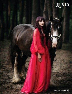 Klacz tinker, 16 lat