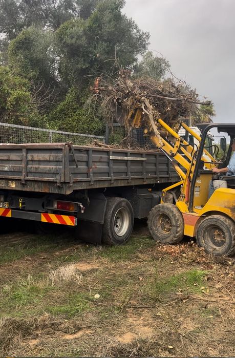 Escavações, limpezas em terrenos, recolha de entulhos…