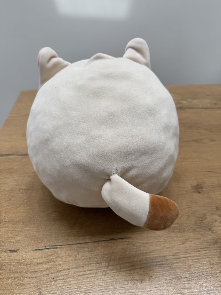 Maskotka Pusheen