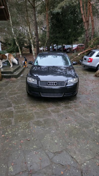 Audi a3 1.9 tdi sprowadzona ładna