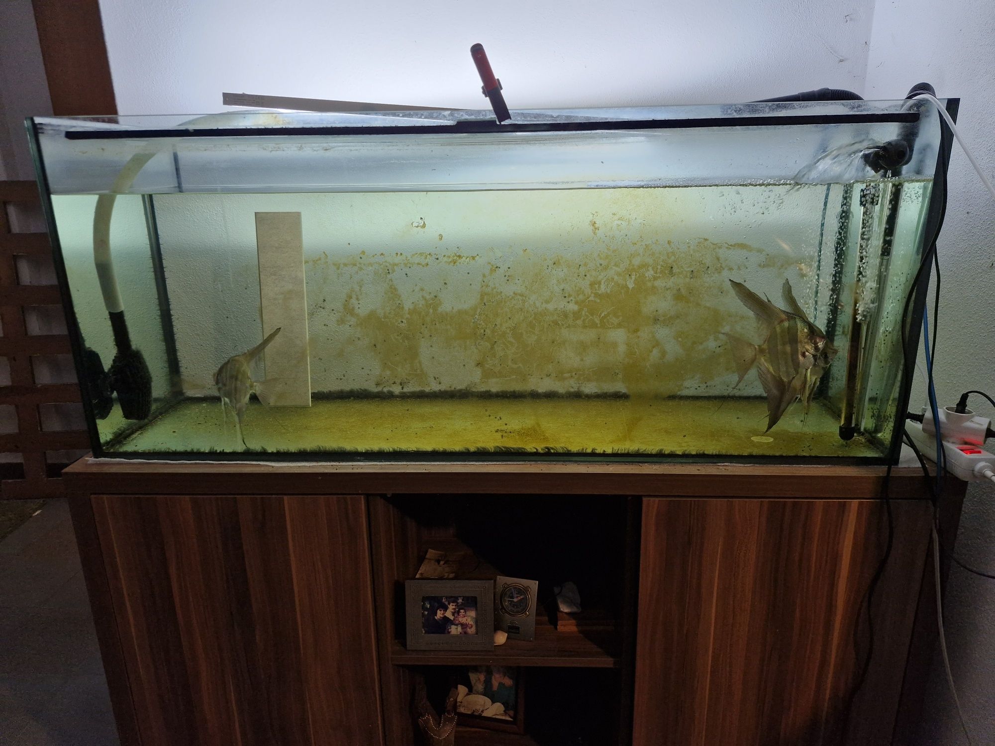 Aquario 320 litros