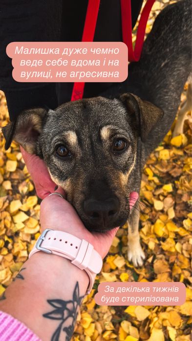 Чудова дівчинка шукає сімʼю