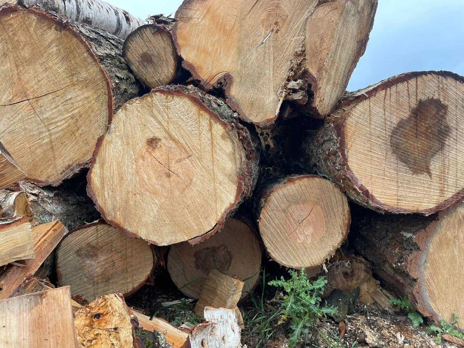 Drewno opałowe opał kominek kominkowe iglaste liściaste Pellet A1