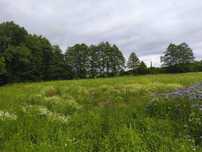 Działka 3004 m² – Chrośna (Solec Kujawski), WZ na 2 domy, woda, prąd!