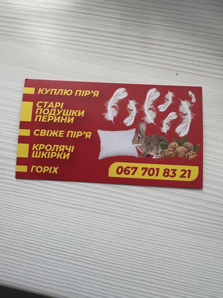Горіх  2023 2024