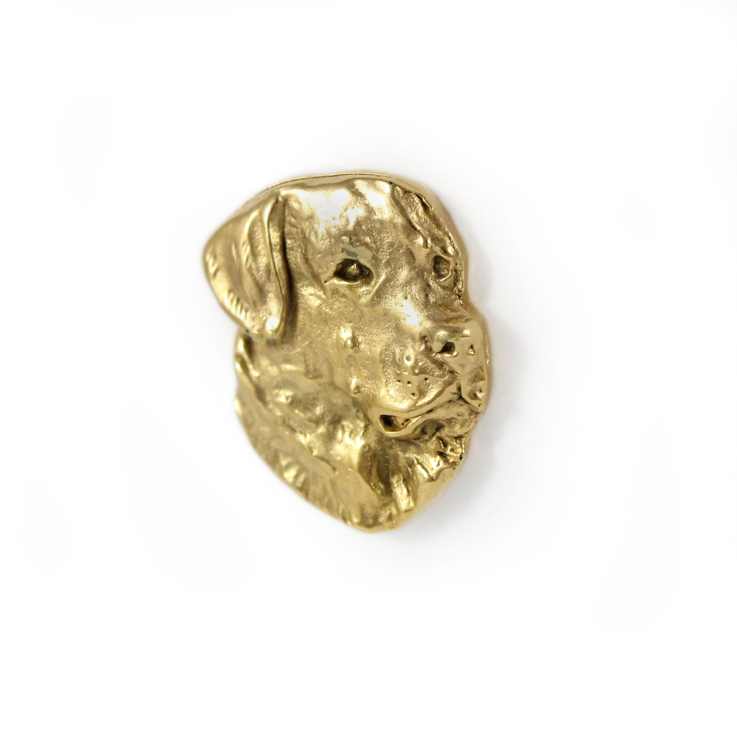 labrador retriever - broszka z psem w pudełku ozdobnym, elegancki poz