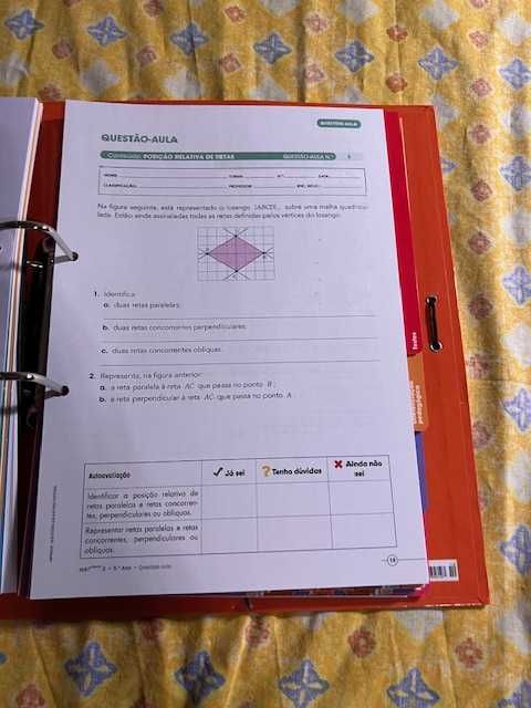 Dossier Professor - Matemática - 5º Ano  - "MatPower 5!"