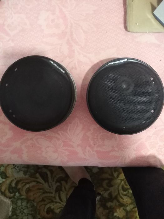 Динаміки в машину робочі