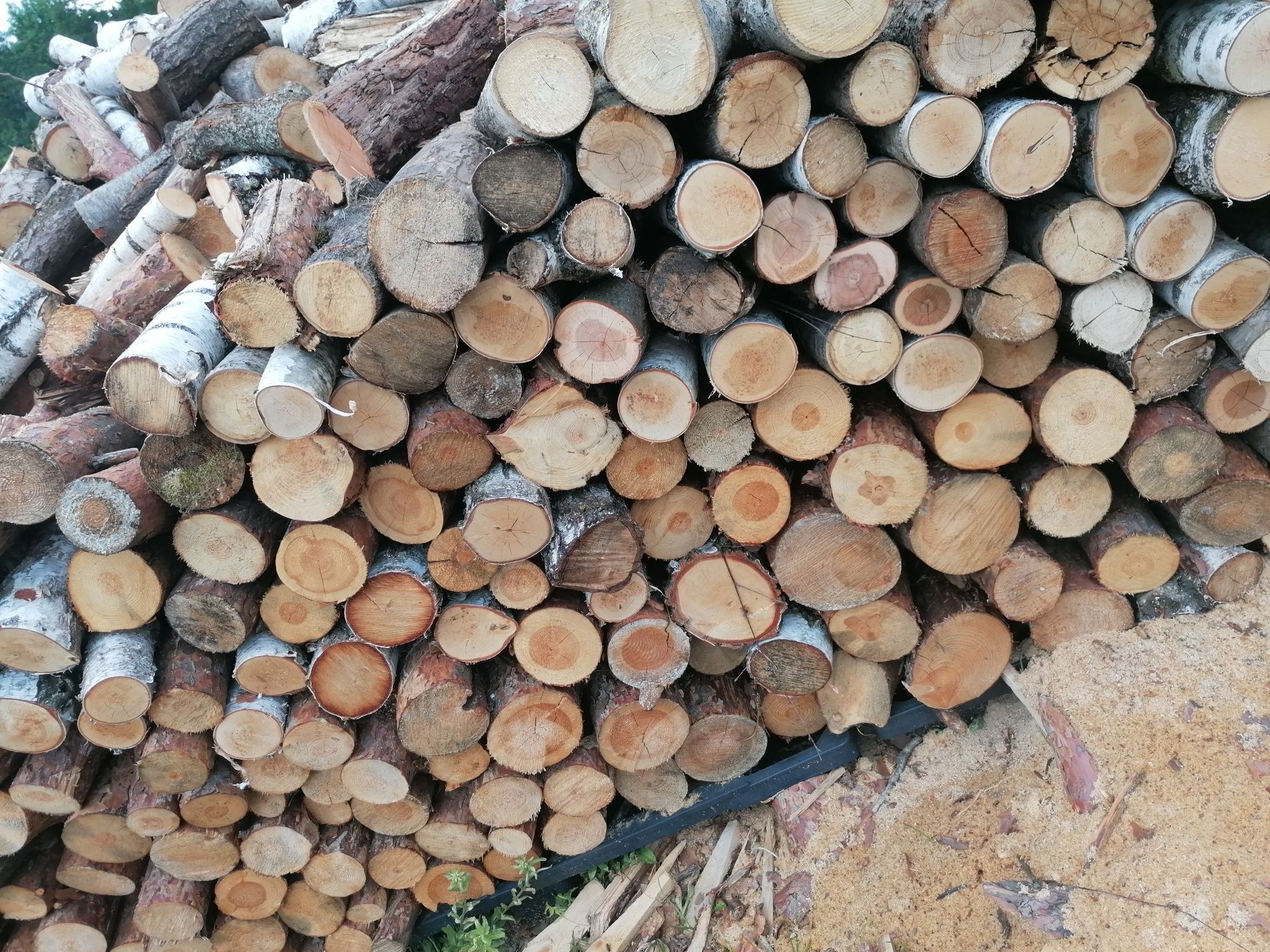 Sprzedam drewno liściaste
