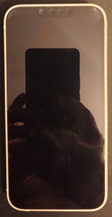 iPhone 13  256 г