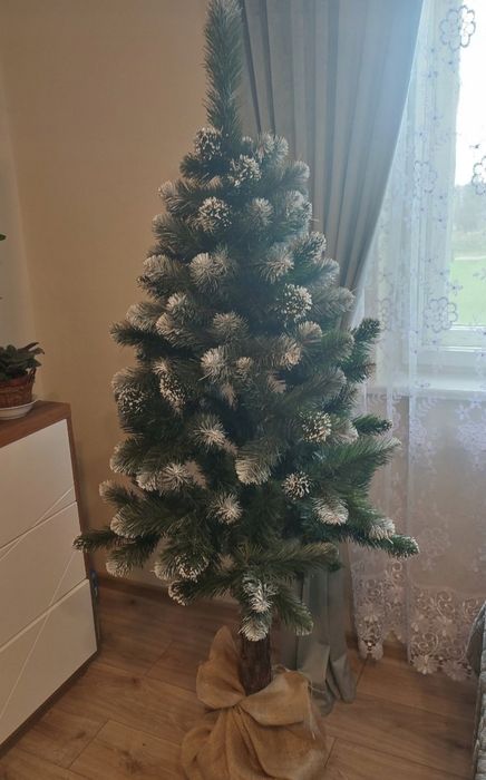 Choinka częste gęsta jak żywa na naturalnym pniu 180 cm nowa