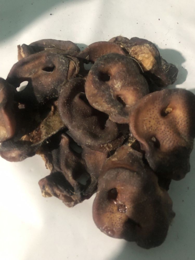 Лакомства для собак