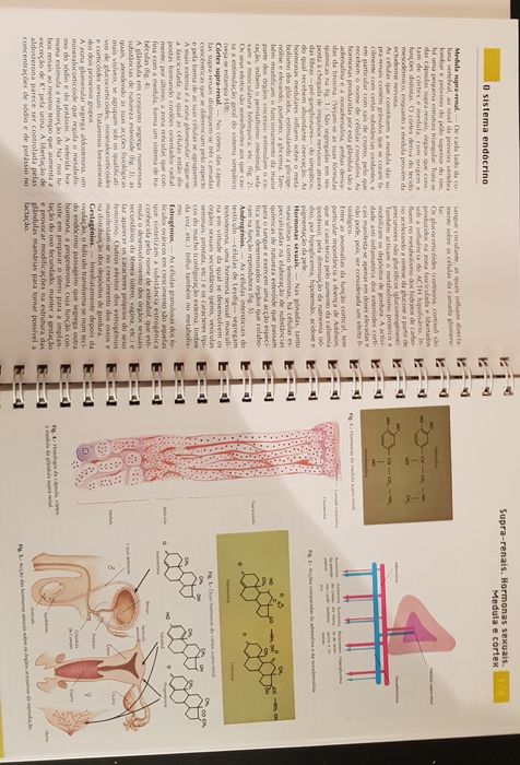 Anatomia - 5 tomos novos na caixa original