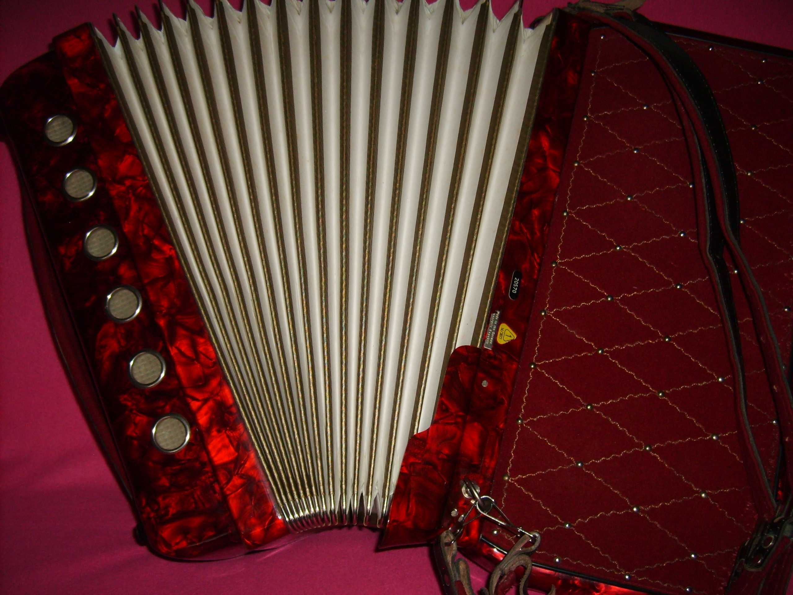 Akordeon HORCH 120 b musette (stan sklepowy )