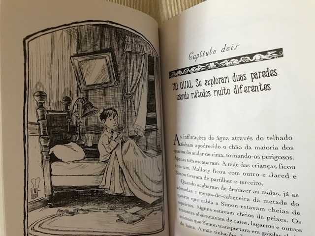 Livro "As crónicas de Spiderwick" /Livro 1 (com portes)