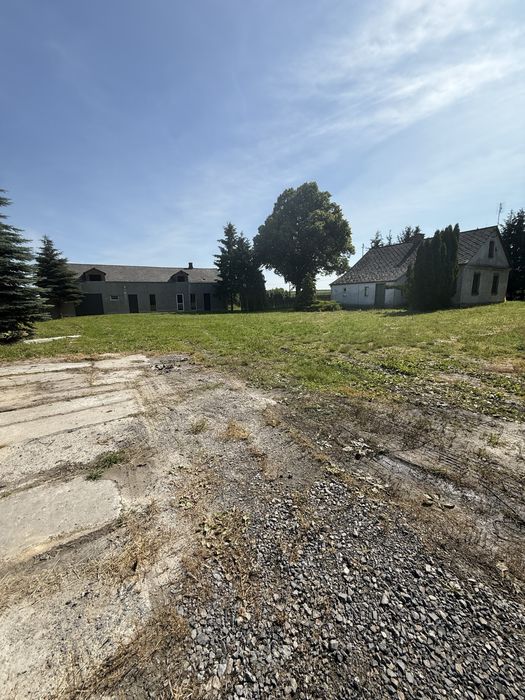 Dom, siedlisko z placem blisko S17 inwestycja