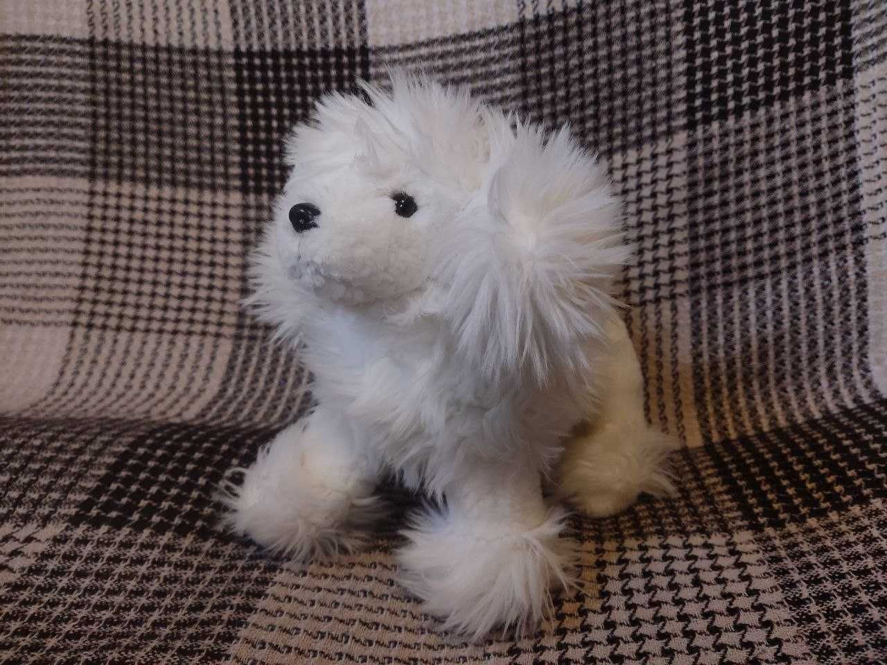 М'яка іграшка біла собака