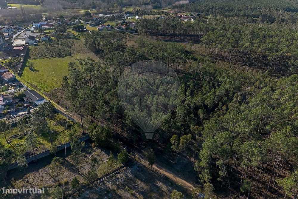 Terreno  para venda