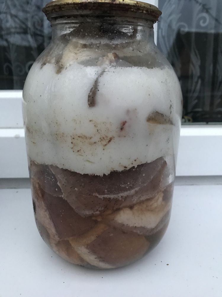 Продам Сало  Смалець