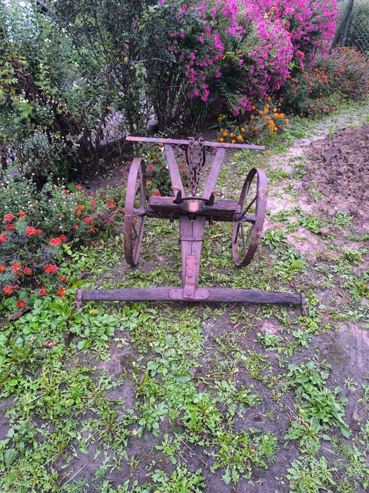 Тележка для конскої тяги вивозити дерево з лісу.
