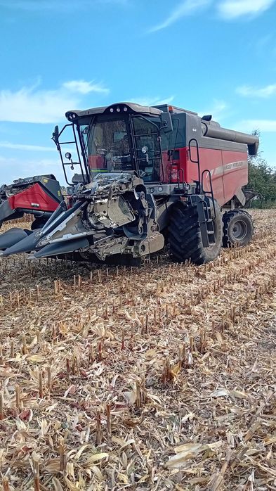 Usługi rolnicze koszenie zbiór kukurydzy