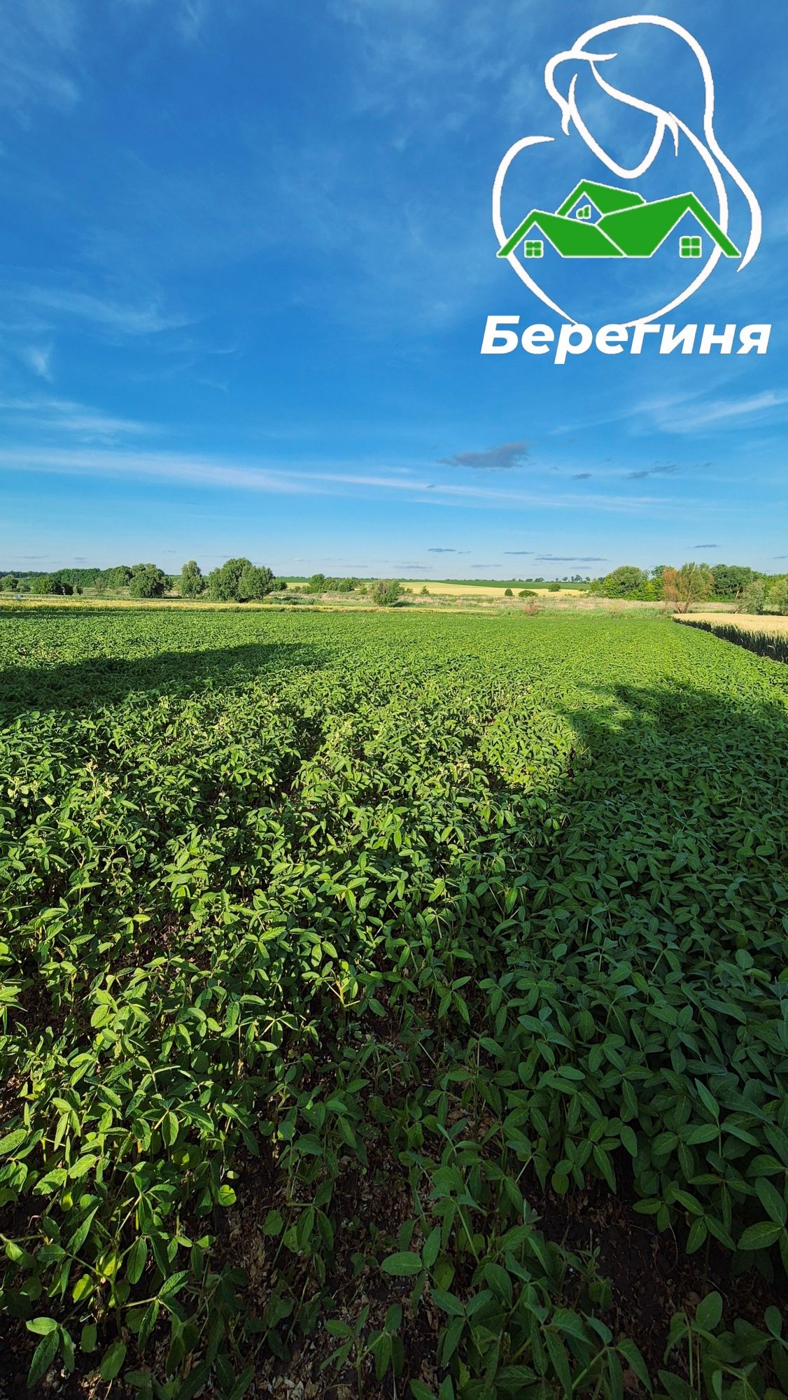 Продається будинок в с. Острійки, Білоцерківського району, Київс. обл.