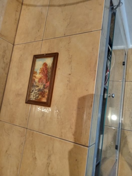 Продам картину з бурштину